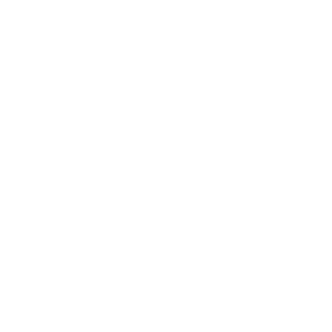 GNARLYSACSWHITE